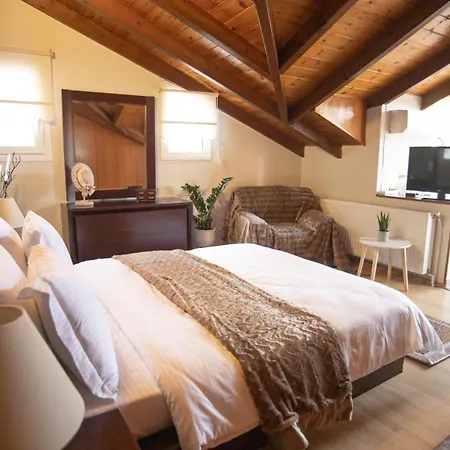 Chalet Soffitta House Sofi!