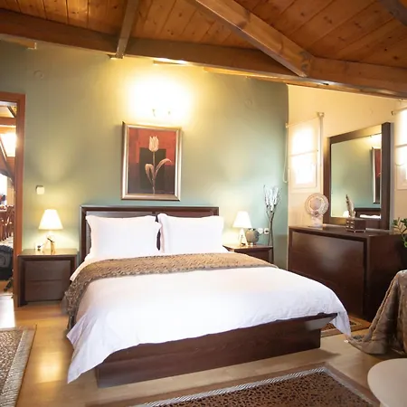 Soffitta House Sofi! Chalet Florina