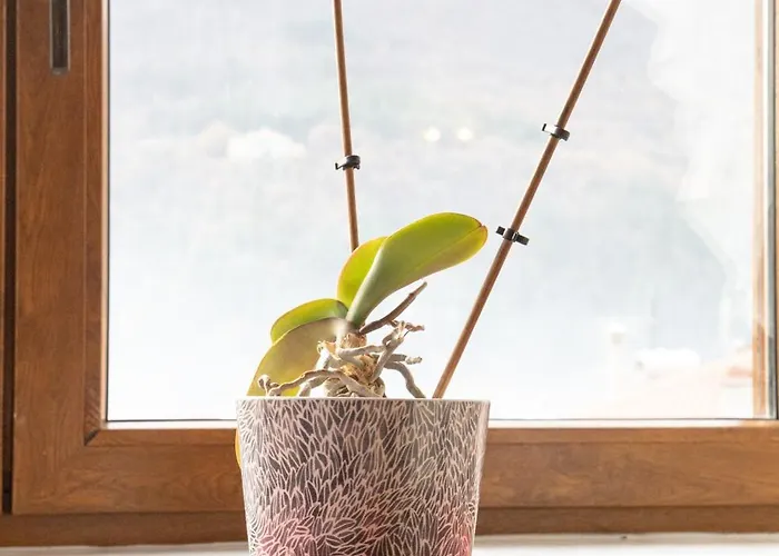 Soffitta House Sofi! * Lerin